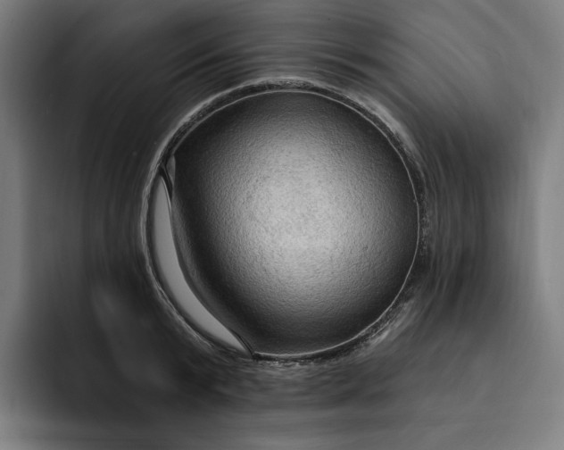 X0000093250799200710101440