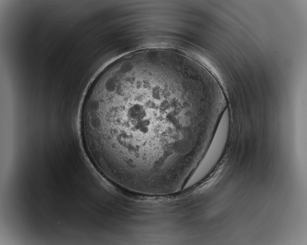 X0000093250803200710101440