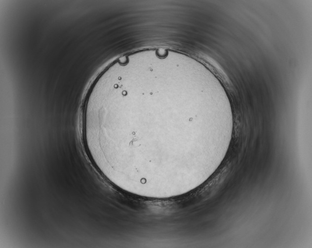 X0000093250804200710101440