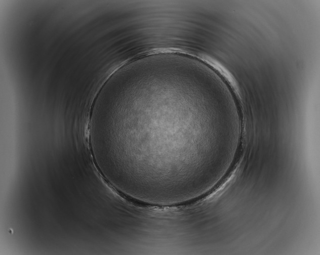 X0000093250809200710101439