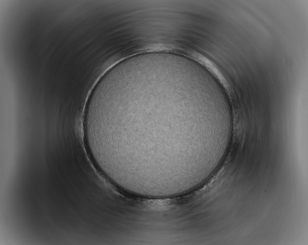 X0000093250810200710101439