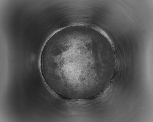 X0000093250811200710101439