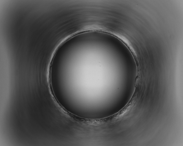 X0000093250815200710101439