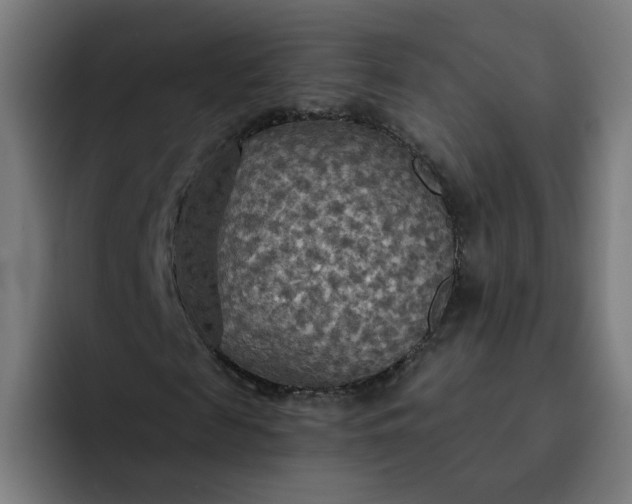 X0000093250817200710101439