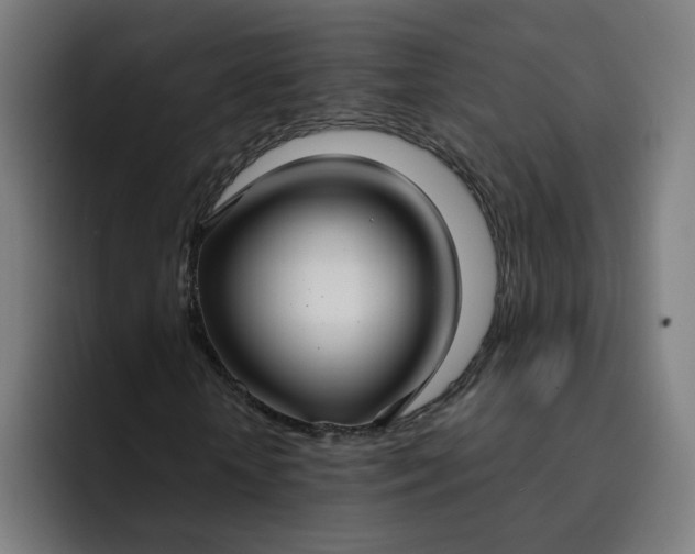 X0000093250818200710101439