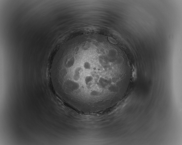 X0000093250819200710101439