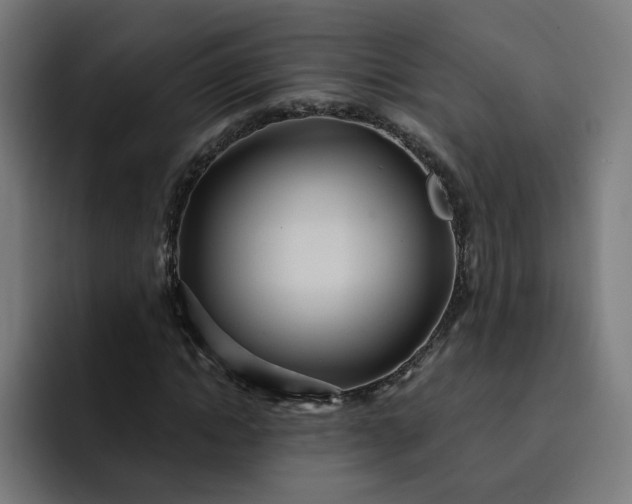 X0000093250822200710101439