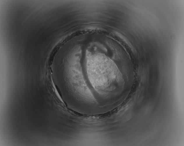 X0000093250823200710101439