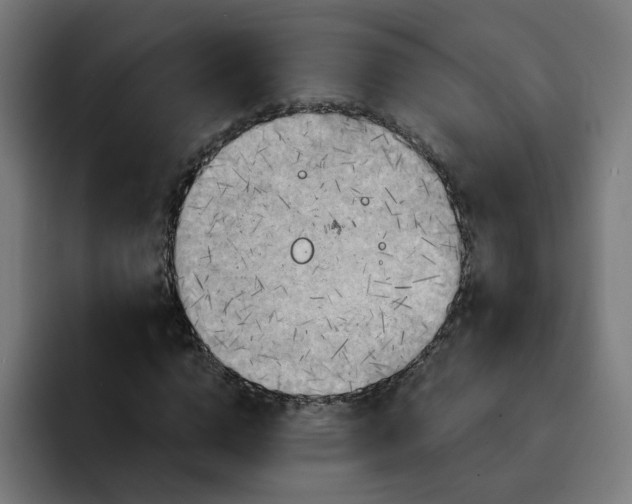 X0000093250824200710101439