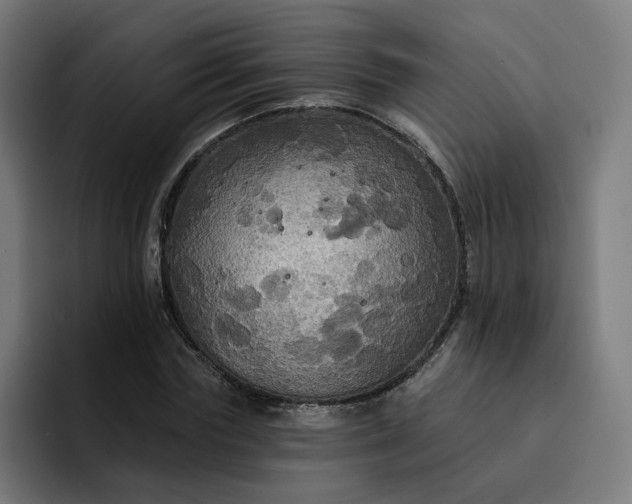 X0000093250827200710101439