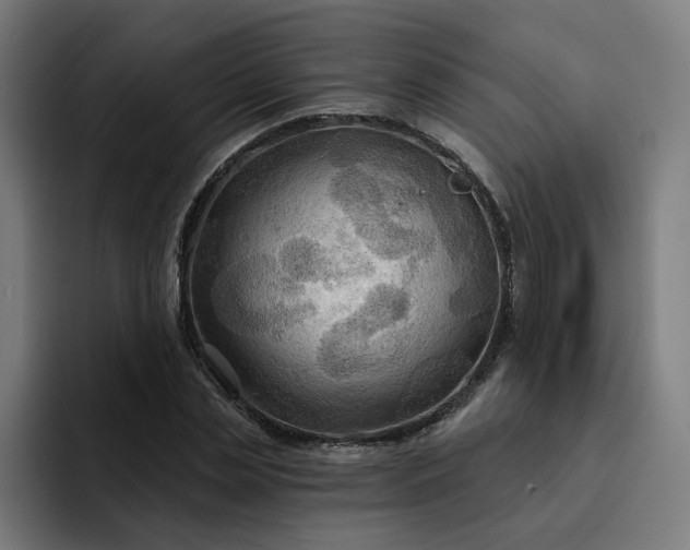 X0000093250829200710101439