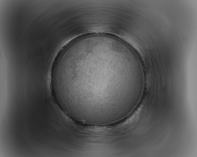 X0000093250831200710101439