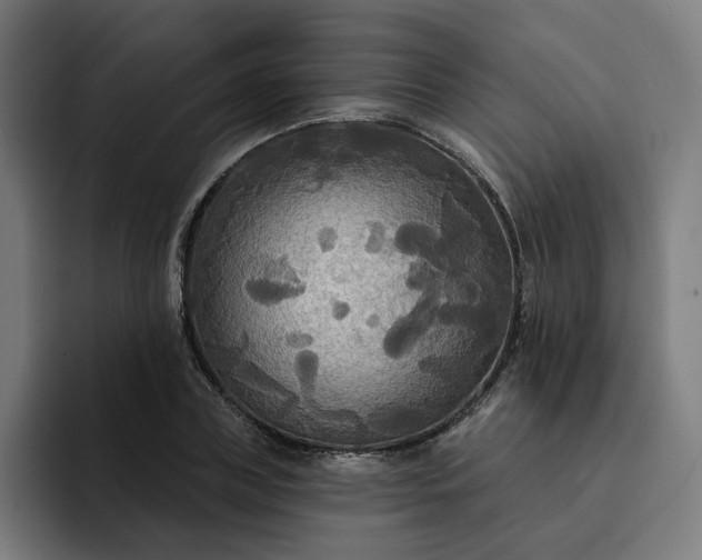 X0000093250835200710101439