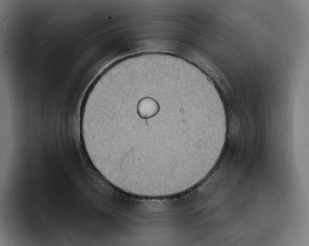 X0000093250836200710101439