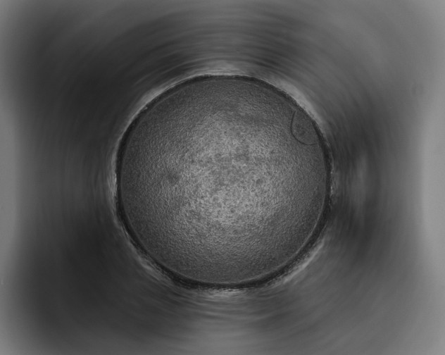 X0000093250837200710101439