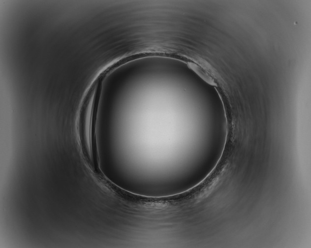 X0000093250838200710101439