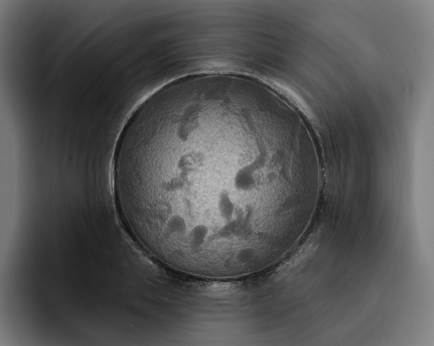 X0000093250839200710101439