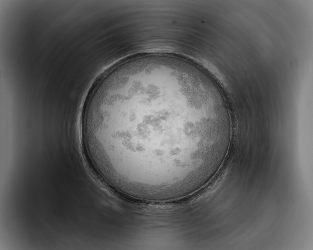 X0000093250840200710101439