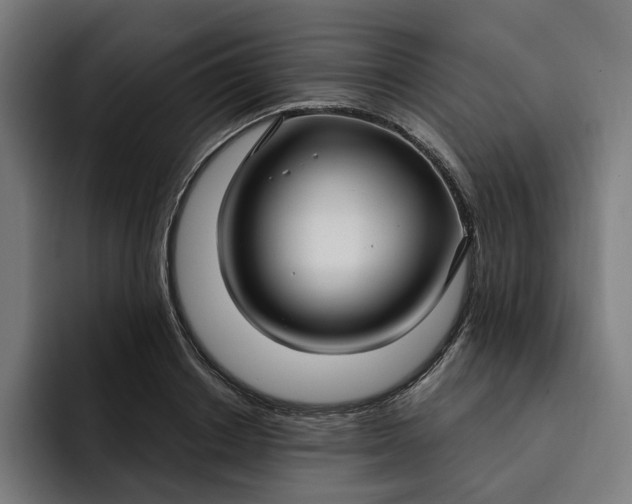 X0000093250842200710101439