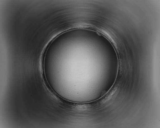 X0000093250843200710101439