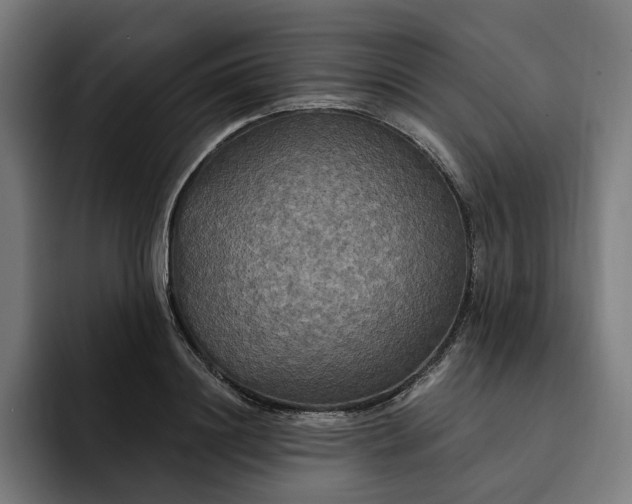 X0000093250844200710101439