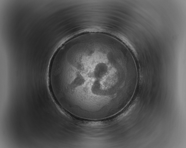 X0000093250845200710101439