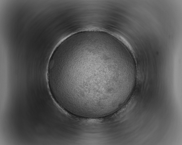 X0000093250847200710101439