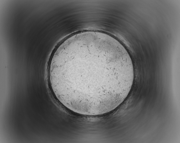 X0000093250848200710101439