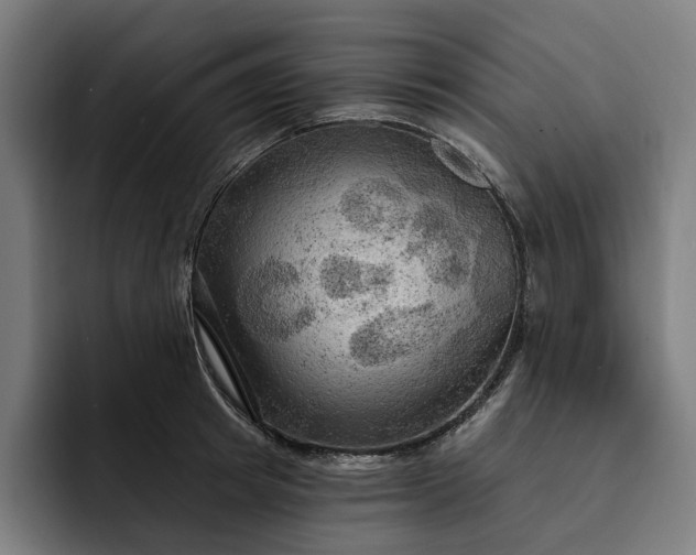 X0000093250849200710101439