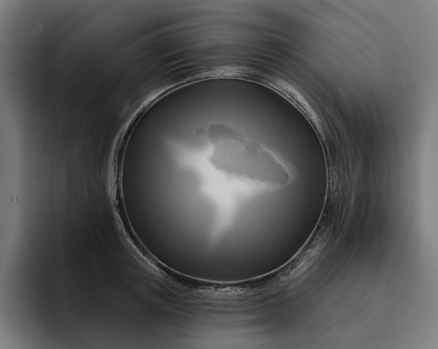 X0000093250851200710101439