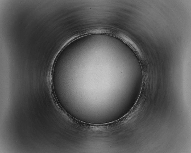 X0000093250852200710101439