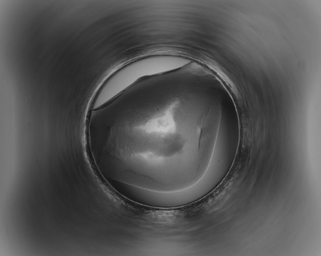 X0000093250853200710101439