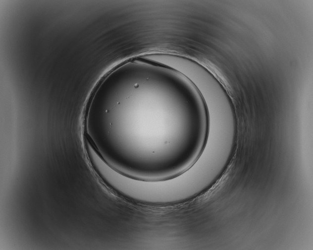 X0000093250854200710101439