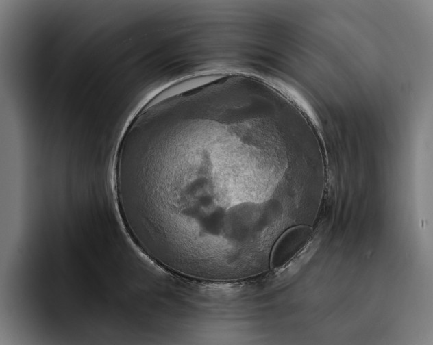 X0000093250855200710101439