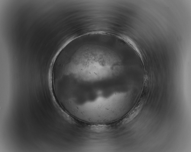 X0000093250859200710101439