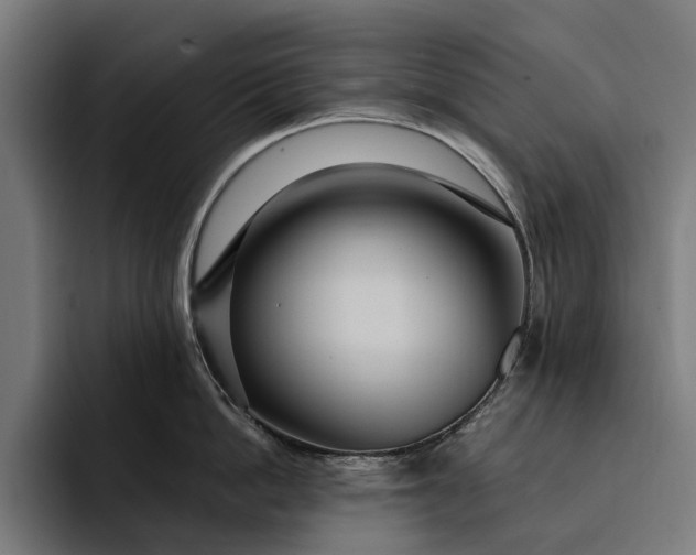 X0000093250862200710101439