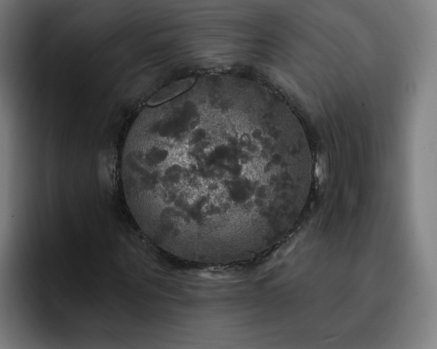 X0000093250867200710101439