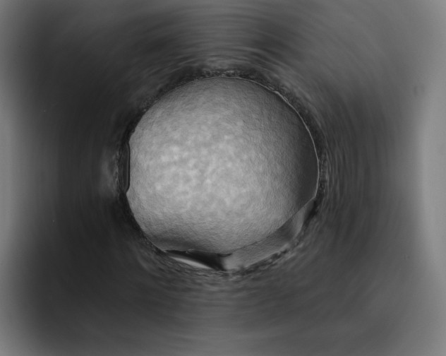 X0000093250868200710101439