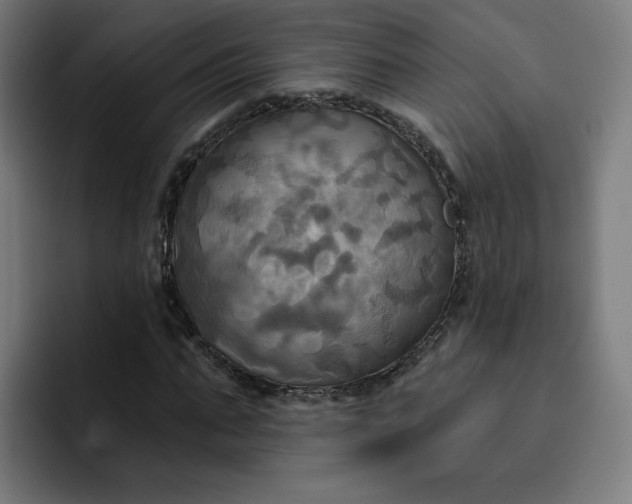 X0000093250871200710101439