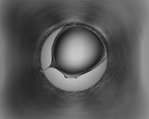 X0000093250872200710101439