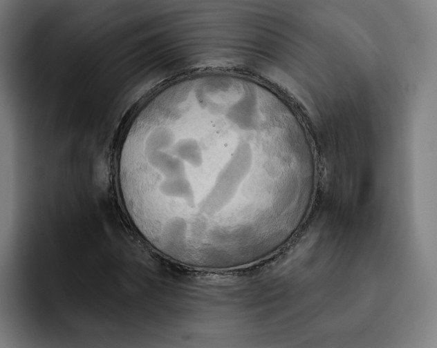 X0000093250874200710101439