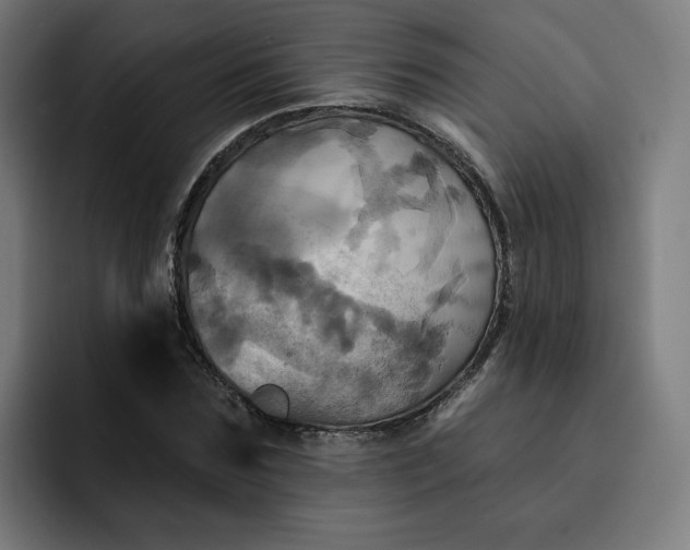 X0000093250875200710101439