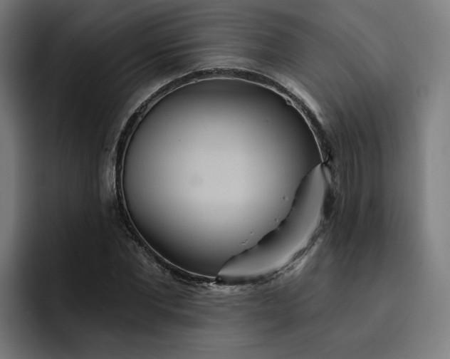 X0000093250877200710101439