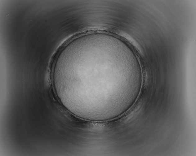 X0000093250878200710101439