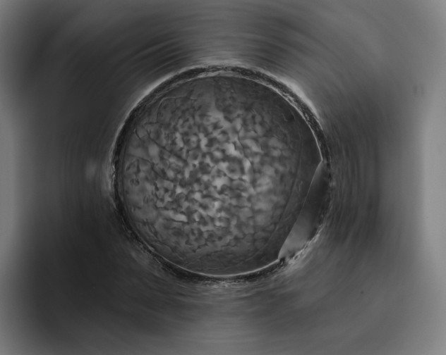 X0000093250879200710101439