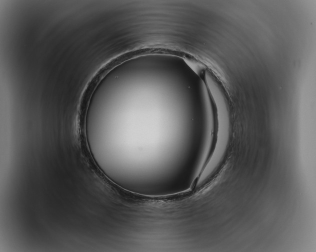 X0000093250880200710101439