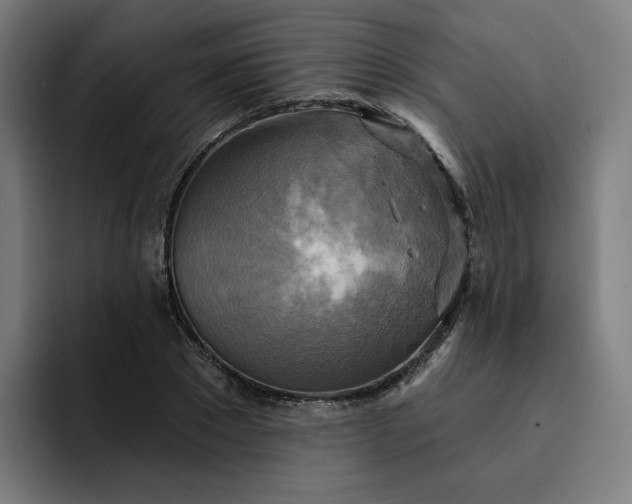 X0000093250881200710101439