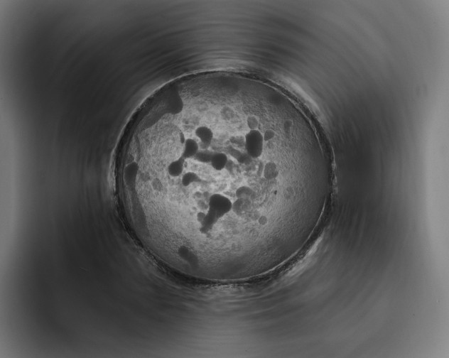 X0000093250883200710101439