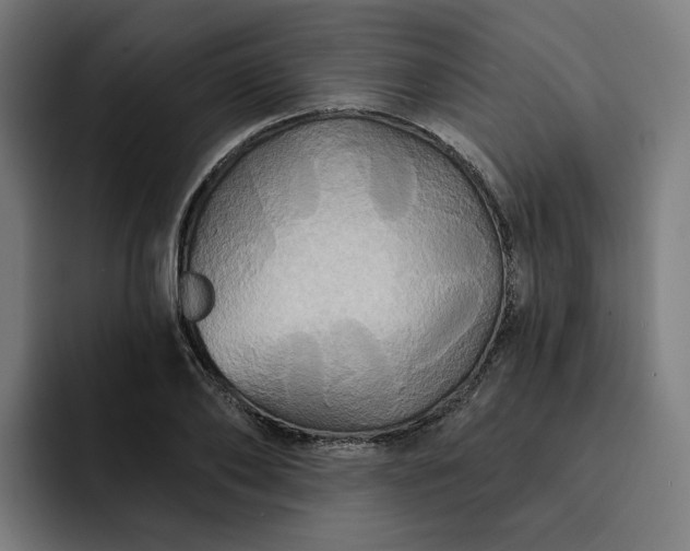 X0000093250886200710101439