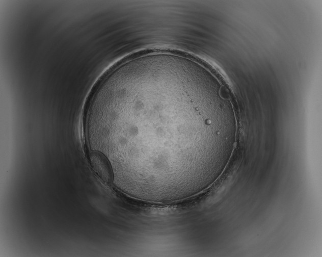 X0000093250887200710101439